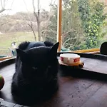 La Ca Di Gatt 3*