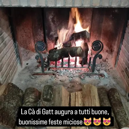 La Ca Di Gatt 3* Monteleone