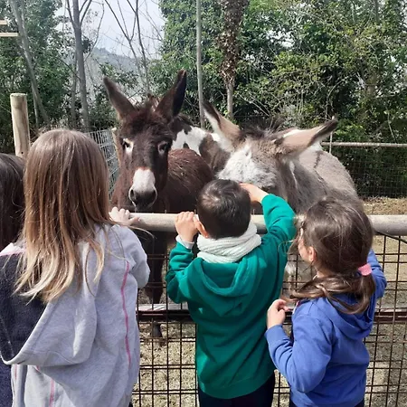 La Ca Di Gatt 3* Monteleone