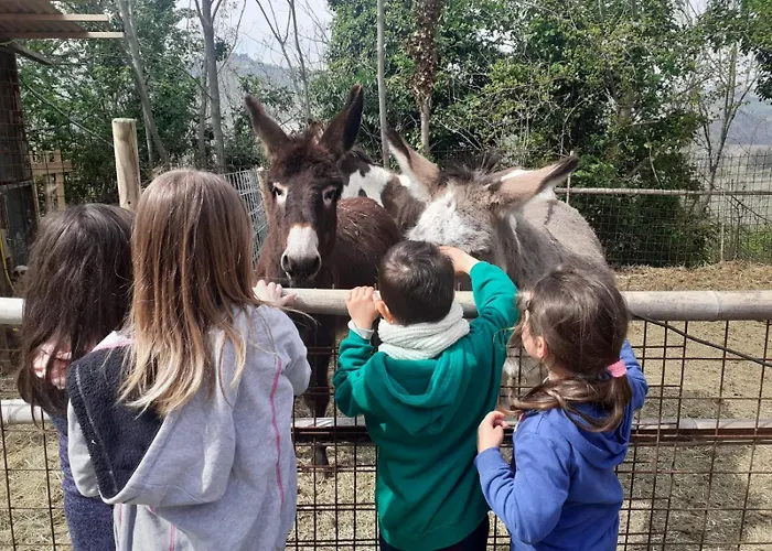 La Ca Di Gatt 3* Monteleone