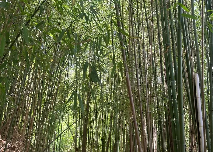 La Ca Di Gatt לינה וארוחת בוקר